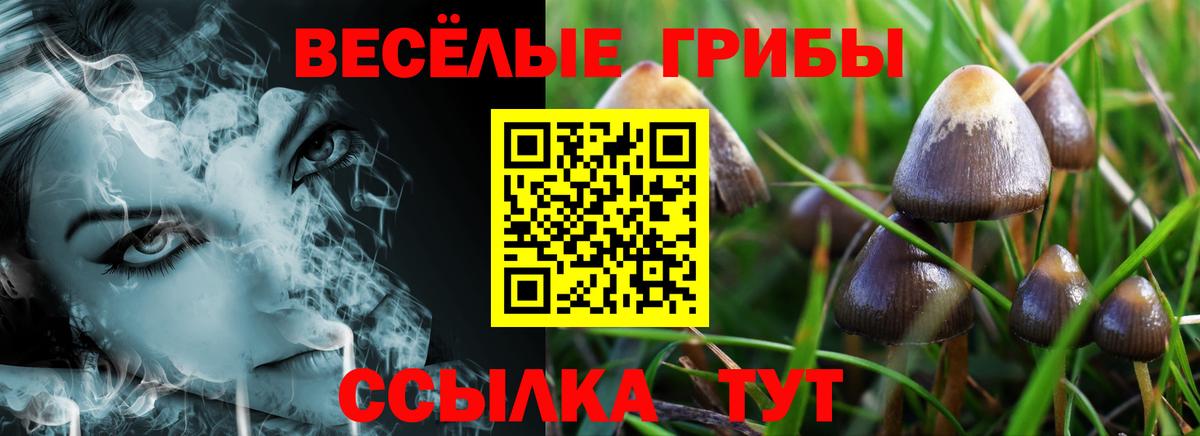 Галлюциногенные грибы GOLDEN TEACHER  Псилоцибиновые грибы Psilocybe  Карабулак  Вход с VPN 