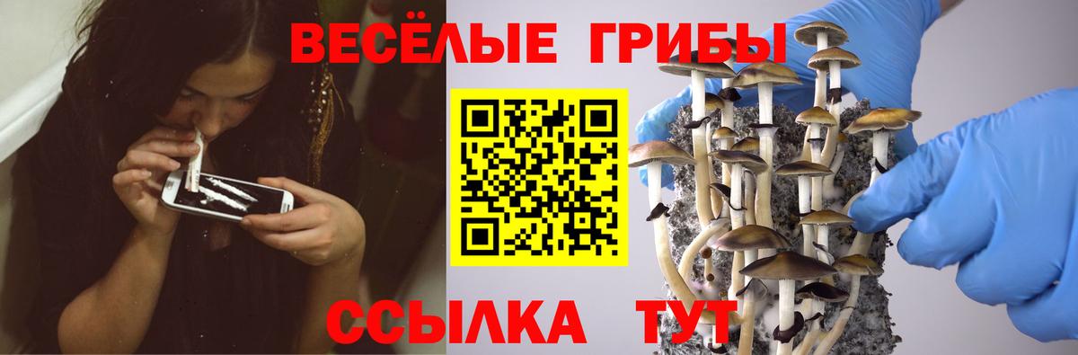Галлюциногенные грибы GOLDEN TEACHER Карабулак